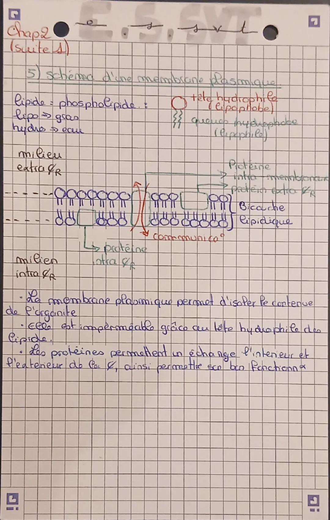 G
e
Chap2
La Cellule
t
(1) l'histoire des imicioscope of fieane Laure
Au xviesà xuiles sirven de micrescope optique (par
(eeuwenhoek) qui a 