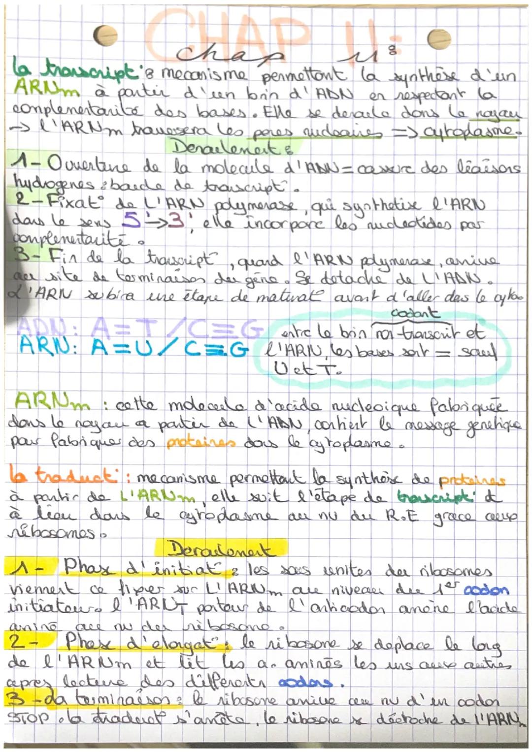 la transcript's mecanisme permettant la synthèse d'un
ARNm à partir d'un boin d'ADN
en respectant la
complementarité des bases. Elle se desa