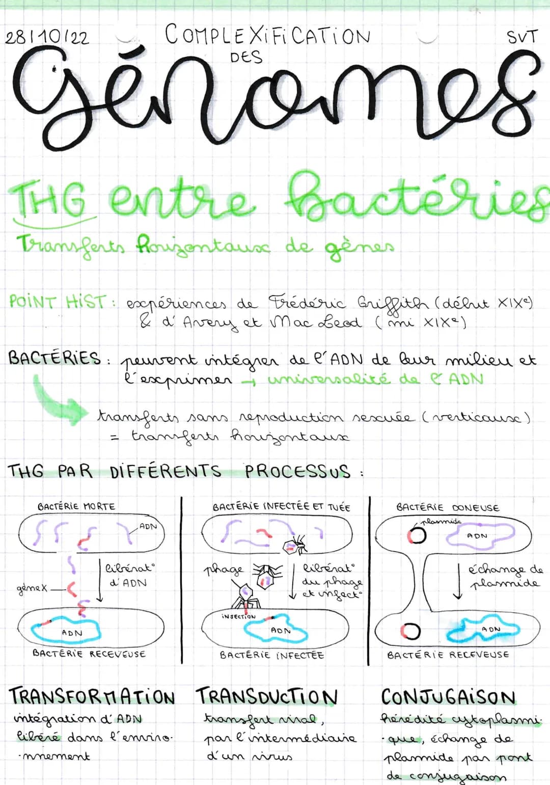 28110/22
THG entre bactéries
Transferts horizontaux de gènes
BACTERIES:
POINT HIST: expériences de Frédéric Griffith (début XIX²)
& d' Avery