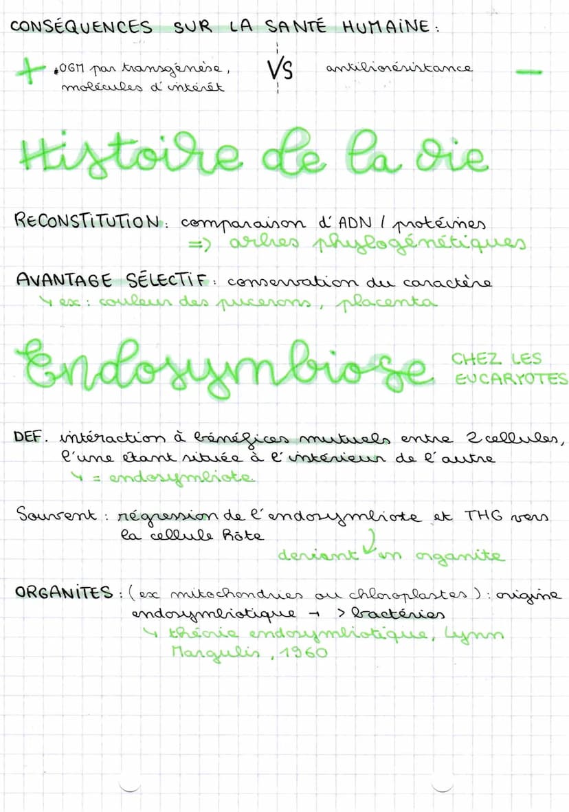 28110/22
THG entre bactéries
Transferts horizontaux de gènes
BACTERIES:
POINT HIST: expériences de Frédéric Griffith (début XIX²)
& d' Avery