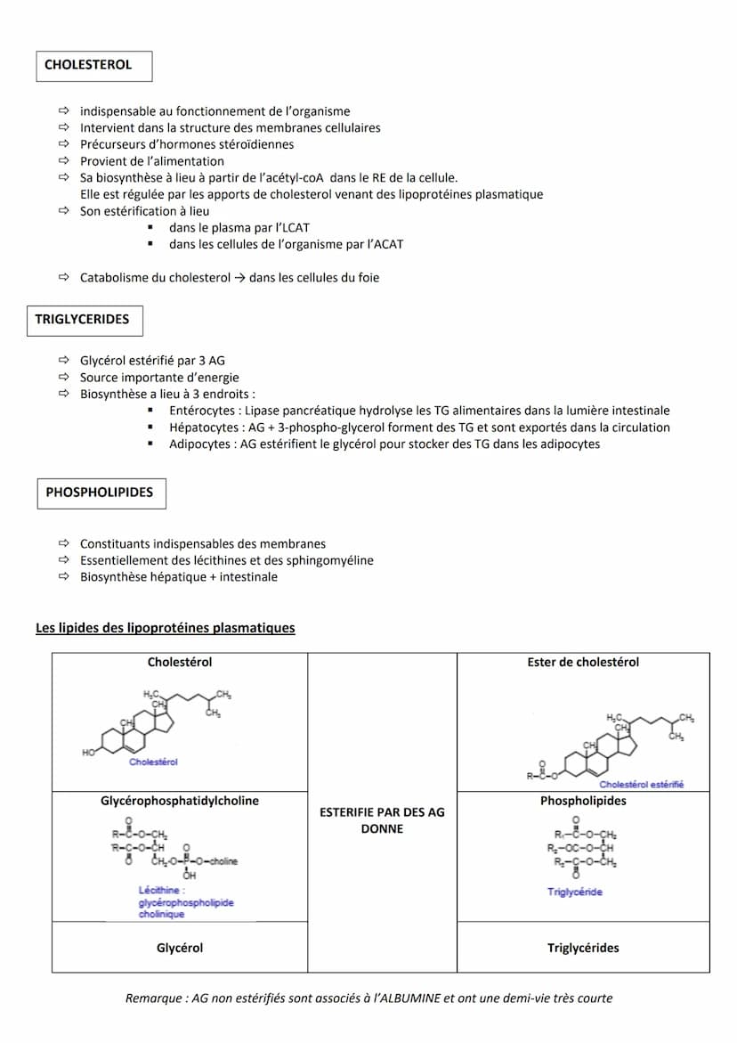 INTRODUCTION
Définition Substances hydrocarbonées
Caractéristiques
RÔLES
CLASSIFICATION
Hydrophobes et liposolubles
Ils sont soit :
1. Les l