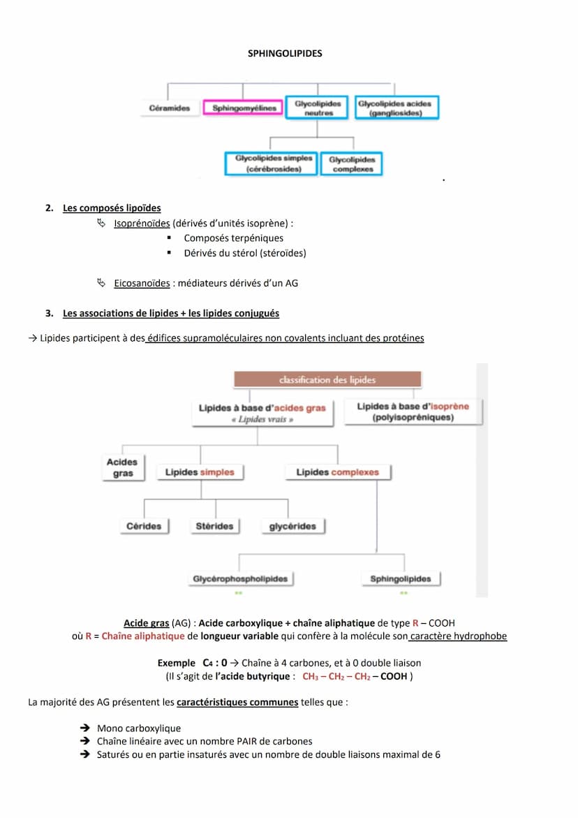 INTRODUCTION
Définition Substances hydrocarbonées
Caractéristiques
RÔLES
CLASSIFICATION
Hydrophobes et liposolubles
Ils sont soit :
1. Les l