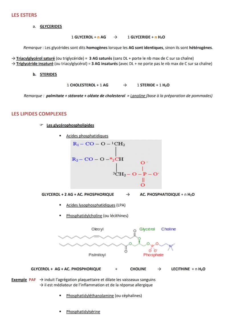 INTRODUCTION
Définition Substances hydrocarbonées
Caractéristiques
RÔLES
CLASSIFICATION
Hydrophobes et liposolubles
Ils sont soit :
1. Les l