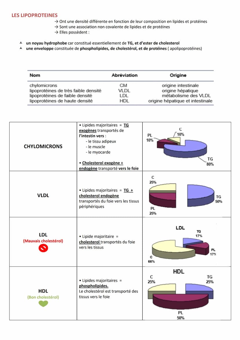 INTRODUCTION
Définition Substances hydrocarbonées
Caractéristiques
RÔLES
CLASSIFICATION
Hydrophobes et liposolubles
Ils sont soit :
1. Les l