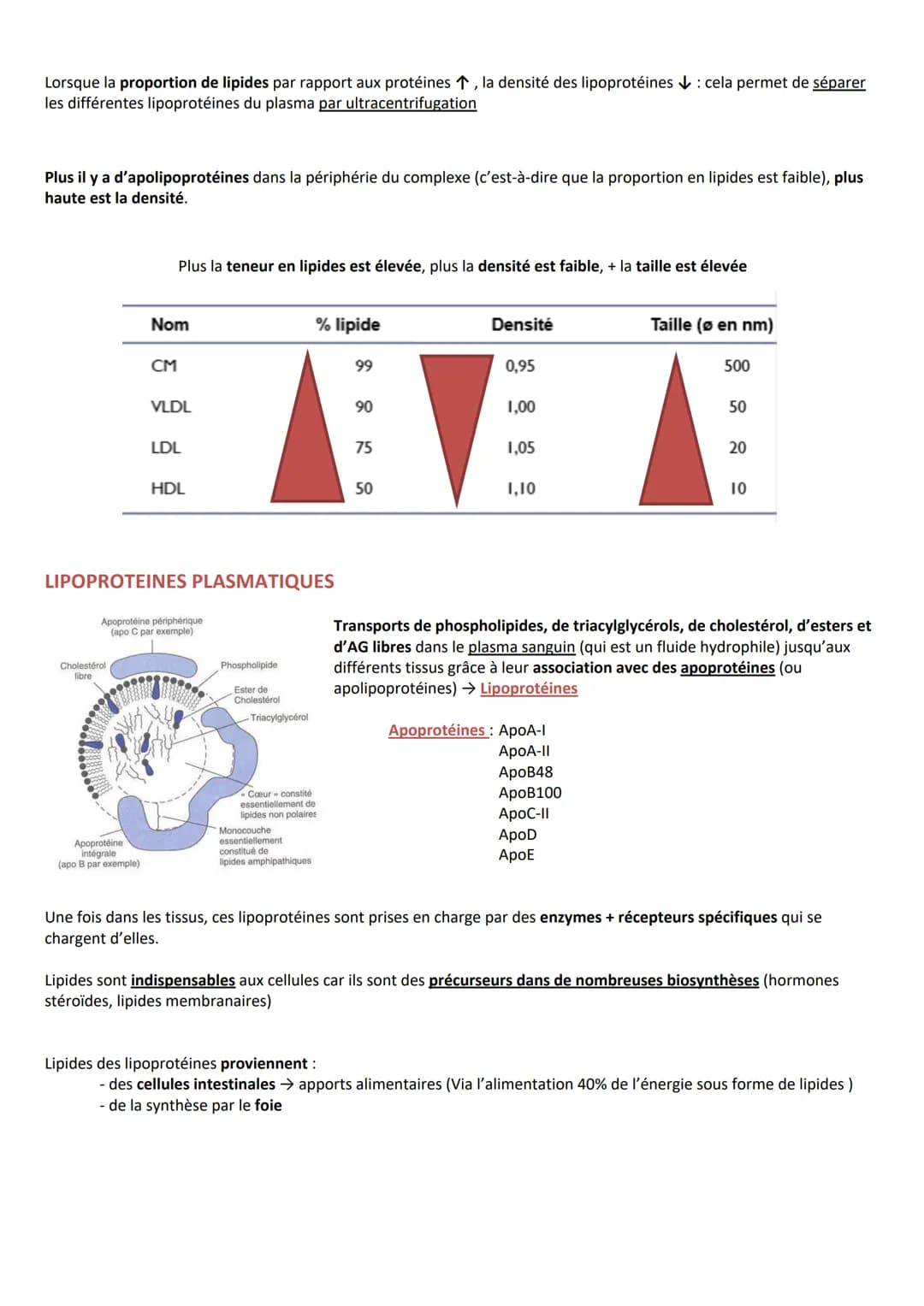 INTRODUCTION
Définition Substances hydrocarbonées
Caractéristiques
RÔLES
CLASSIFICATION
Hydrophobes et liposolubles
Ils sont soit :
1. Les l