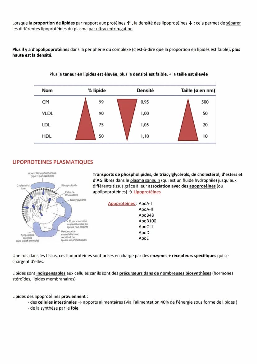 INTRODUCTION
Définition Substances hydrocarbonées
Caractéristiques
RÔLES
CLASSIFICATION
Hydrophobes et liposolubles
Ils sont soit :
1. Les l
