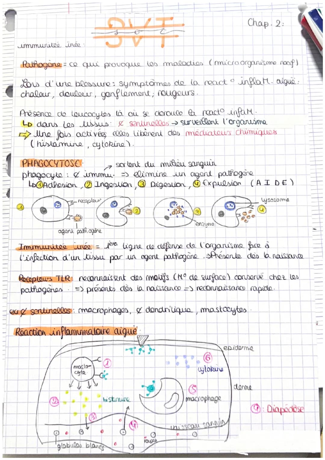 9V
Pathogone = ce qui provoque les maladies (microorganismo noap)
Lors d'une blessure: symptômes de la react infla M. augue.
chaleur, douleu