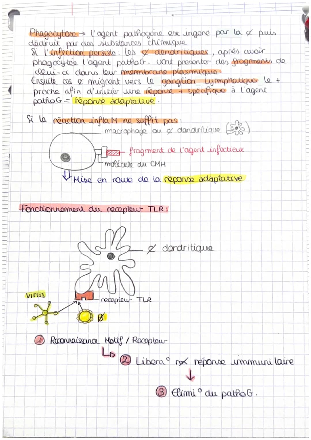 9V
Pathogone = ce qui provoque les maladies (microorganismo noap)
Lors d'une blessure: symptômes de la react infla M. augue.
chaleur, douleu