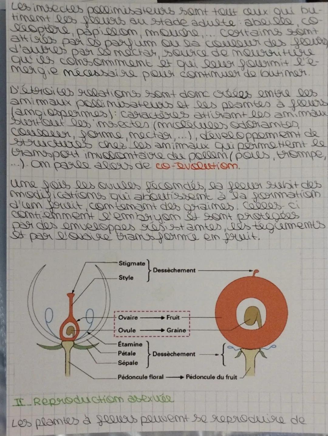 --- OCR Start ---
THEME 3. De la plante sauvage à la
plamte domestiquée
CHAPITRE 3 Reproduction de la plante
emtre vie fixée et mobilite
I-R