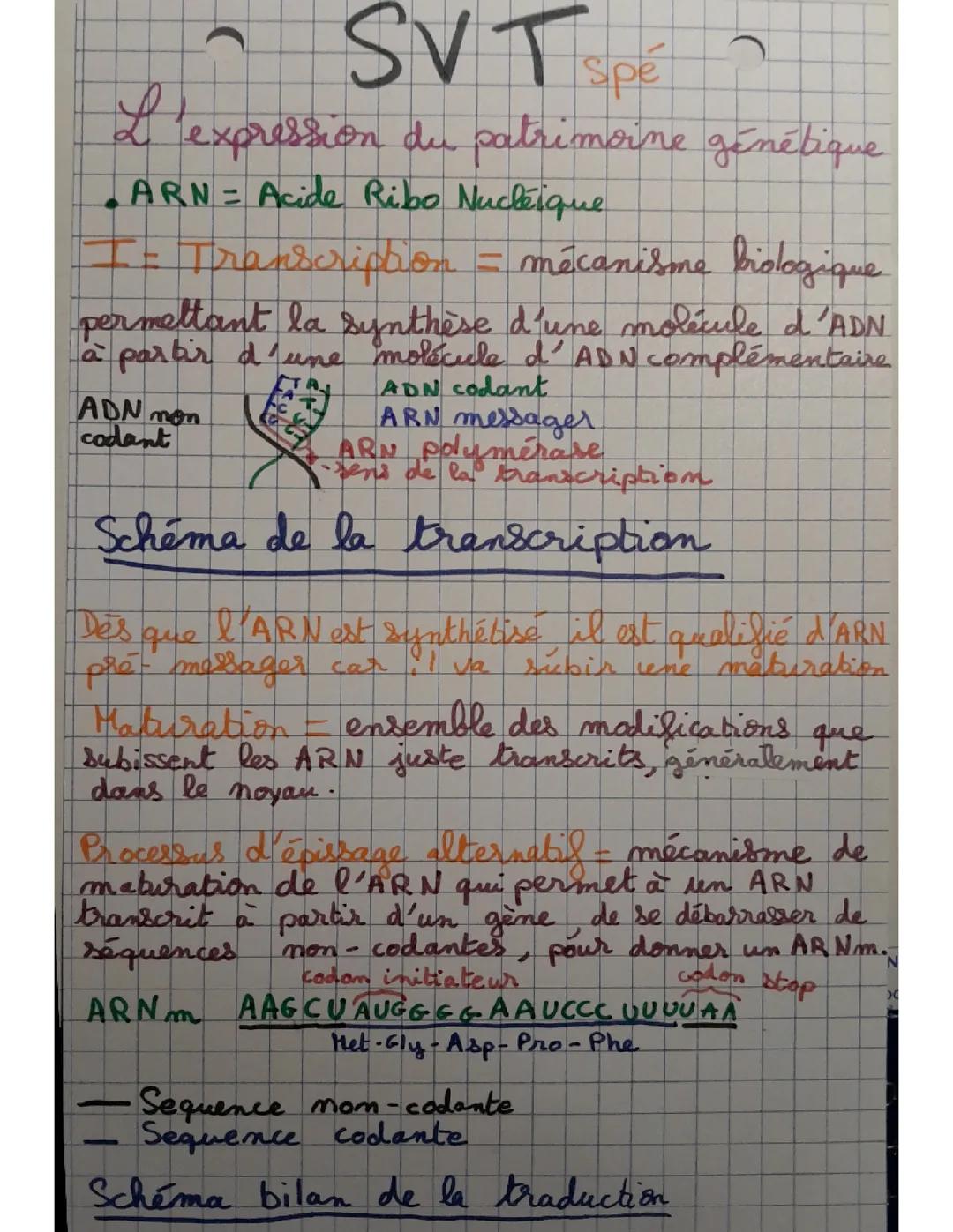 L'expression du patrimoine génétique 