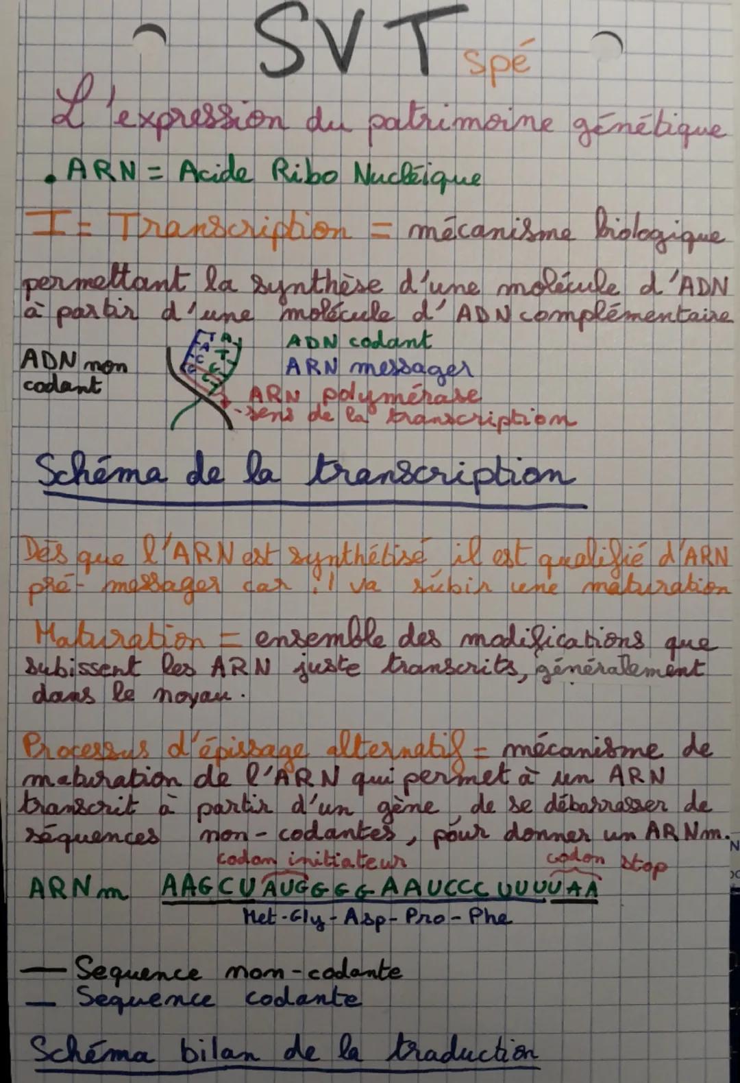 SVT Spe
L'expression du patrimoine génétique
ARN=Acide Ribo Nucléique
I = Transcription = mécanisme biologique
permettant la synthèse d'une 