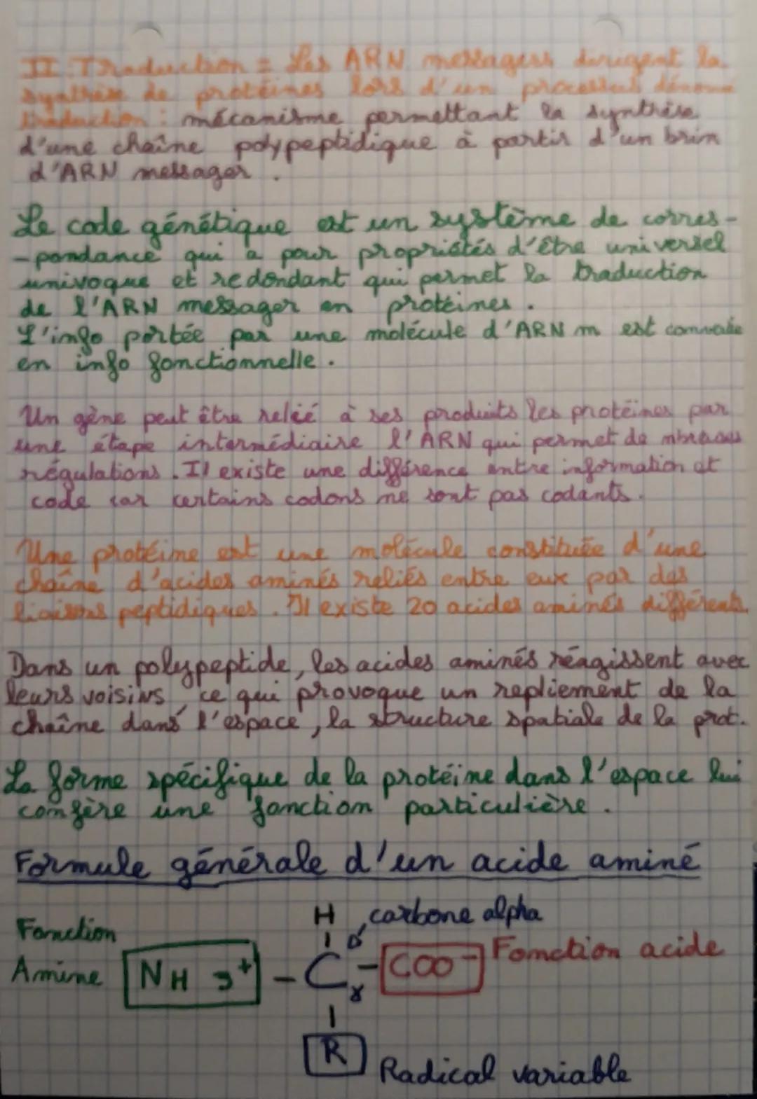 SVT Spe
L'expression du patrimoine génétique
ARN=Acide Ribo Nucléique
I = Transcription = mécanisme biologique
permettant la synthèse d'une 