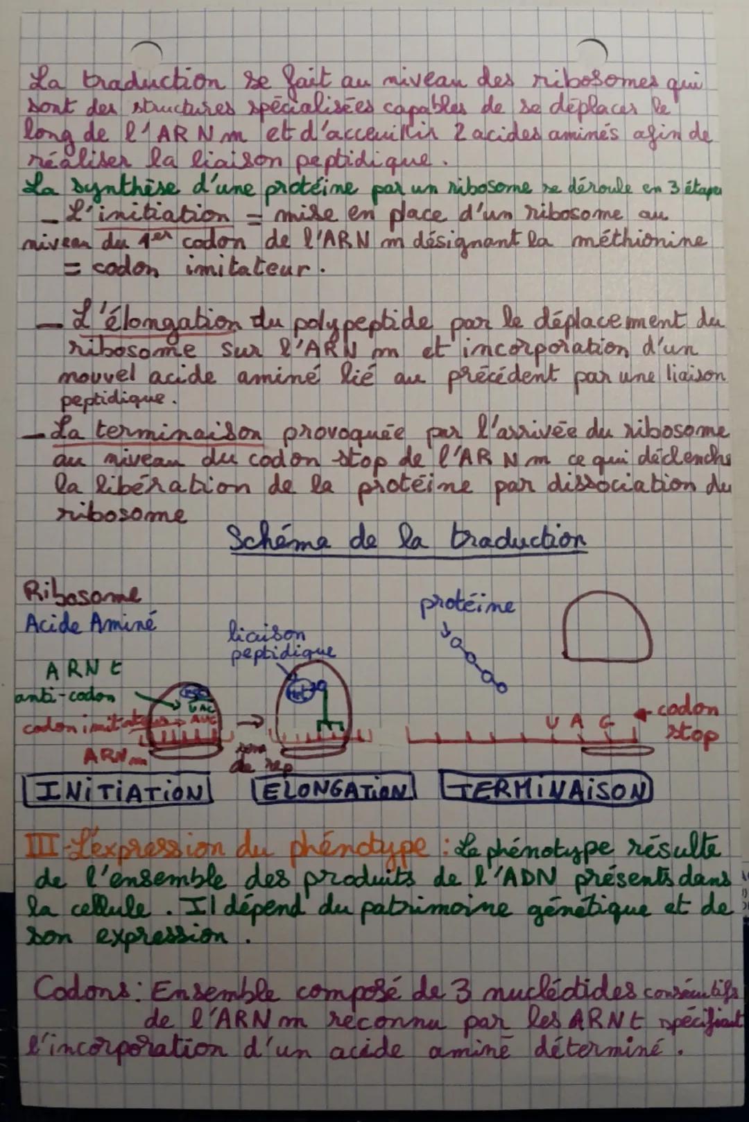 SVT Spe
L'expression du patrimoine génétique
ARN=Acide Ribo Nucléique
I = Transcription = mécanisme biologique
permettant la synthèse d'une 