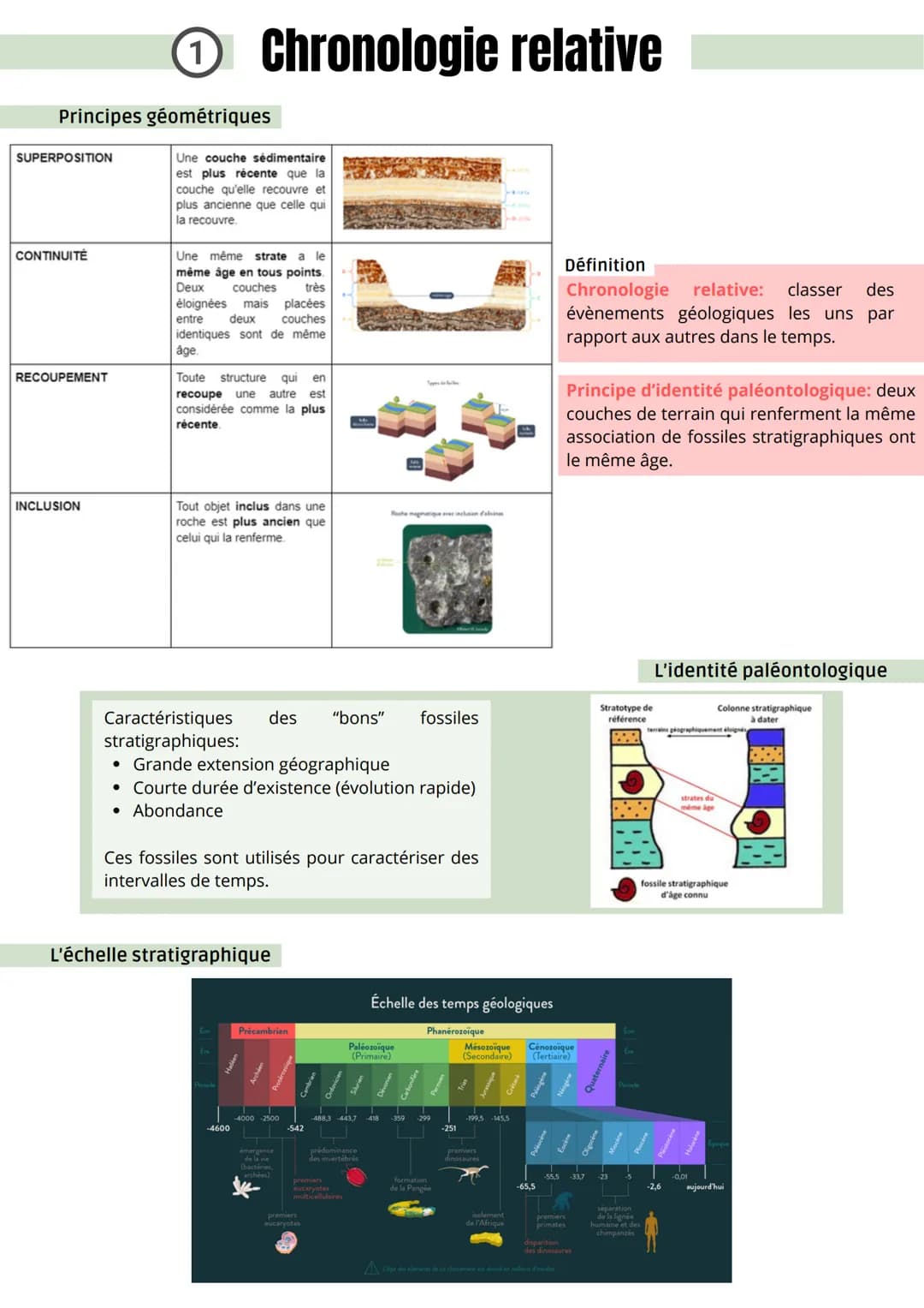 Principes géométriques
SUPERPOSITION
CONTINUITÉ
RECOUPEMENT
(1) Chronologie relative
INCLUSION
Une couche sédimentaire
est plus récente que 