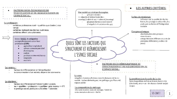 Know Structure de la hiérarchie sociale  thumbnail