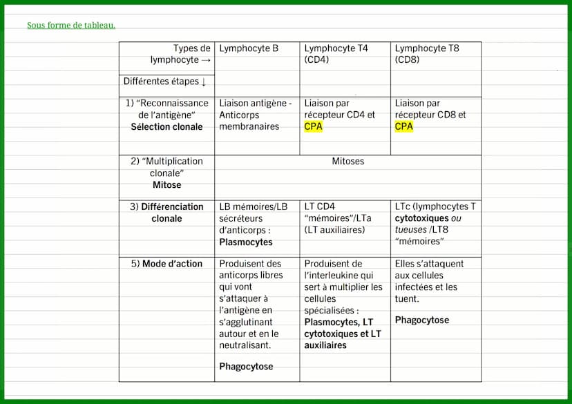 L'immunité adaptative
L'immunité adaptative est un système de défense de l'organisme qui permet de reconnaître et d'éliminer les agents
path