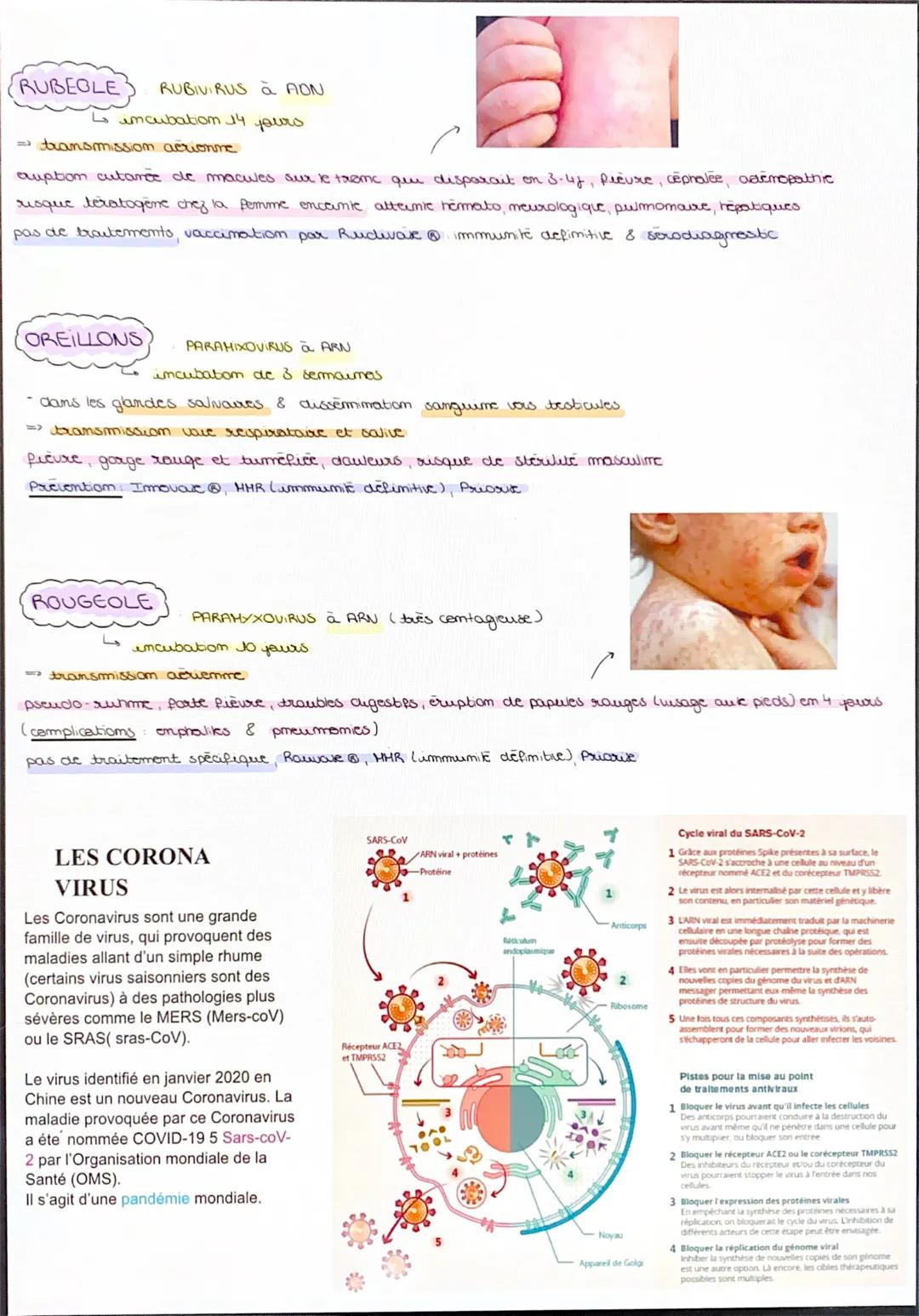 Hepatites
جا
hepable A VHA ARNbransmission maims saulkes, aliments sporadiques
↳ incubation 4 à 6 semaines (temps entre contact miouebe - sy