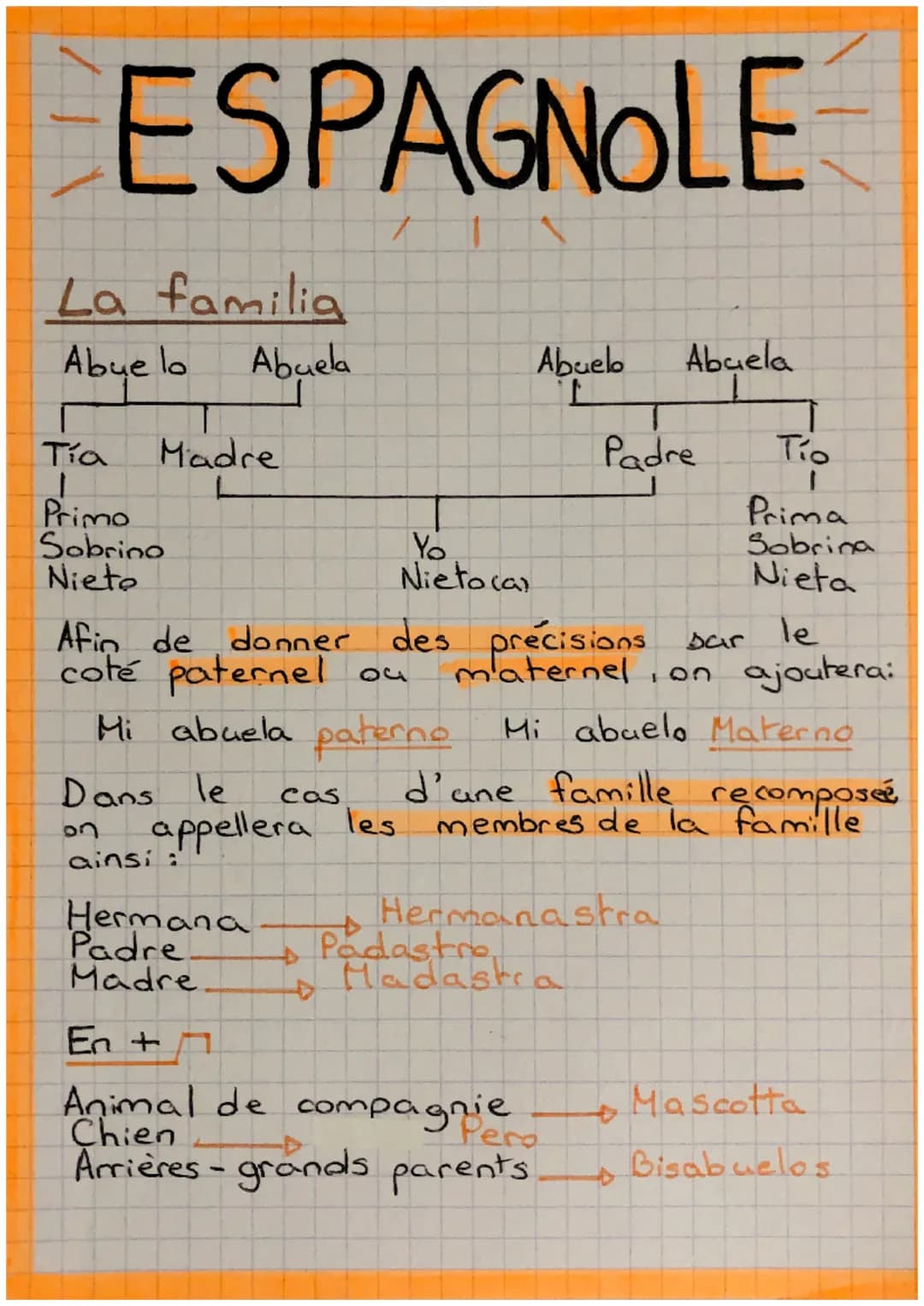 
<p>En español, cuando hablamos de la familia, podemos referirnos a los miembros de la familia de diferentes maneras. Aquí te presento una l