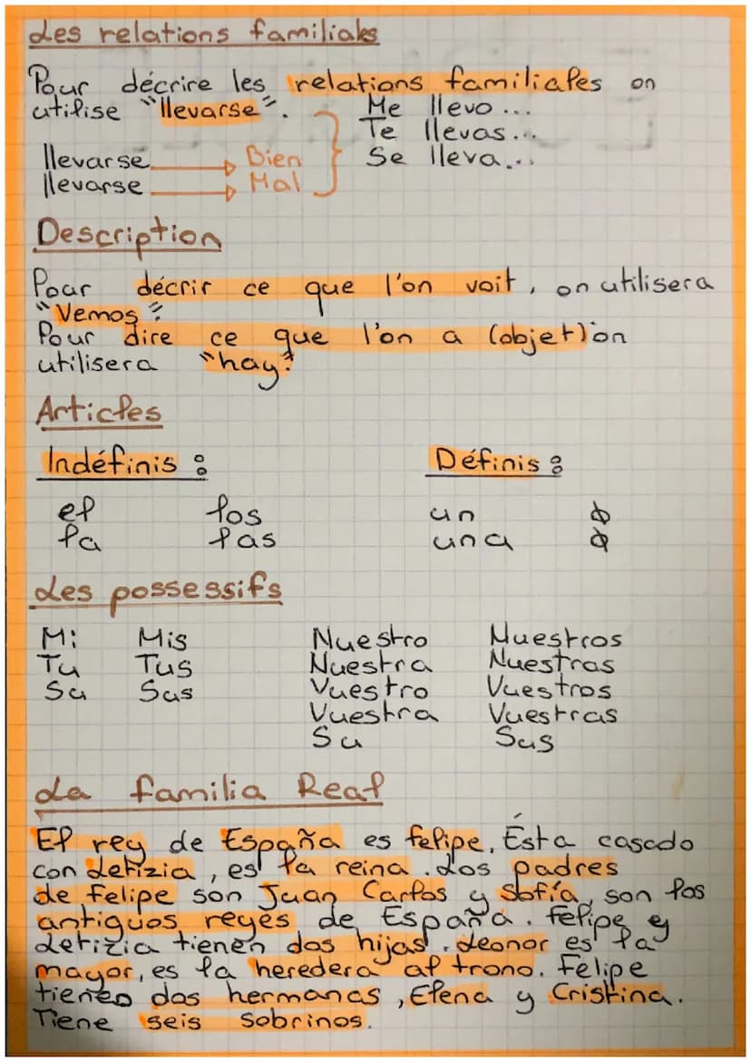 
<p>En español, cuando hablamos de la familia, podemos referirnos a los miembros de la familia de diferentes maneras. Aquí te presento una l