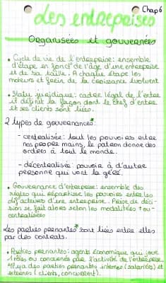 Know Les entreprises organisée et gouvernées  thumbnail