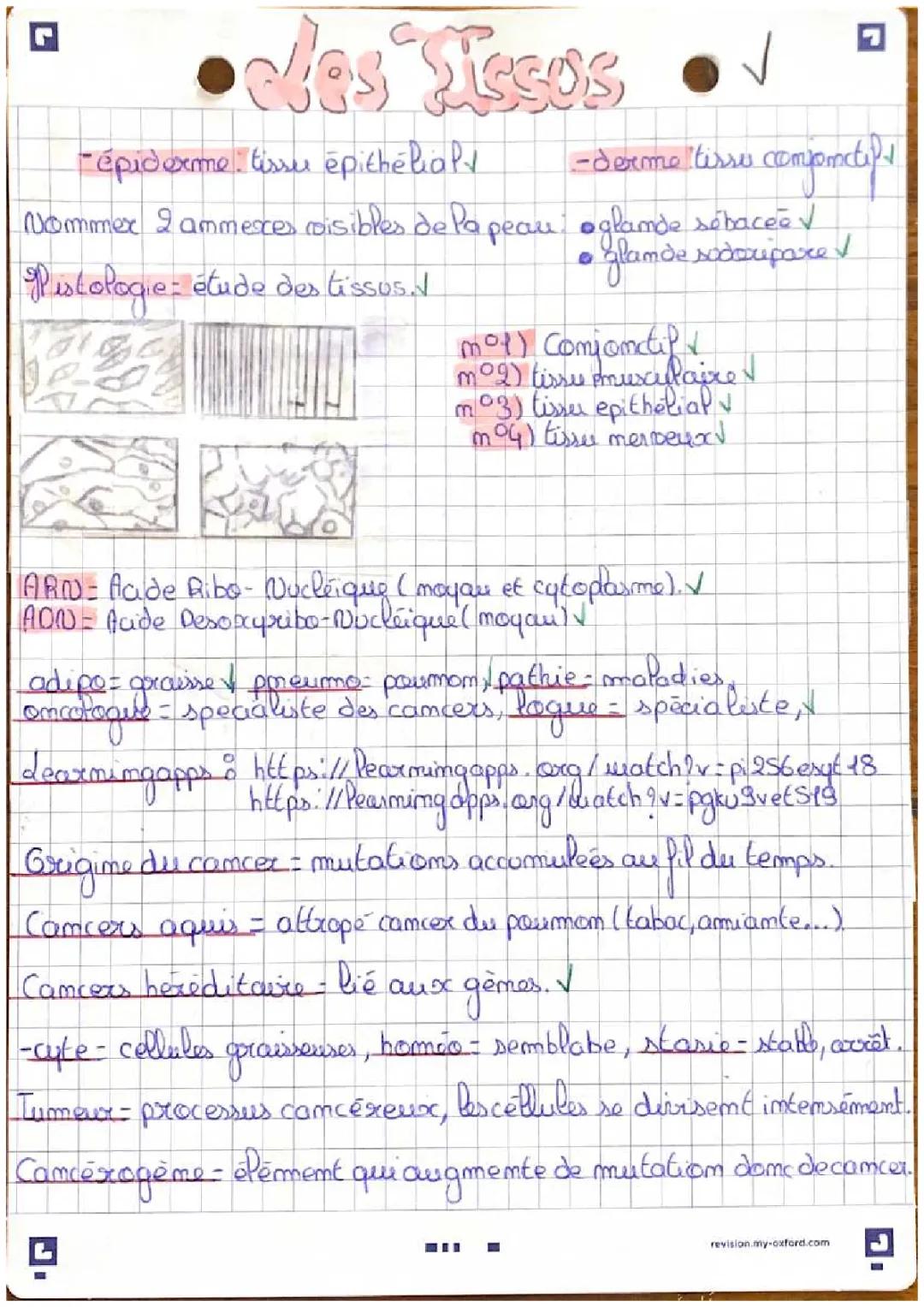Les tissus 