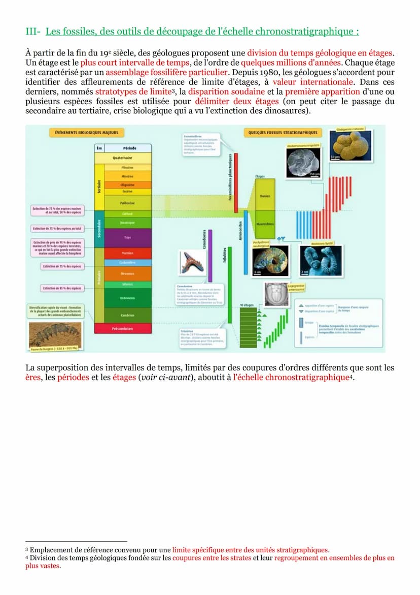 PARTIE 2 : À la recherche du passé géologique de notre planète :
Chapitre n°1 : La datation relative :
I- Les relations géométriques entre o