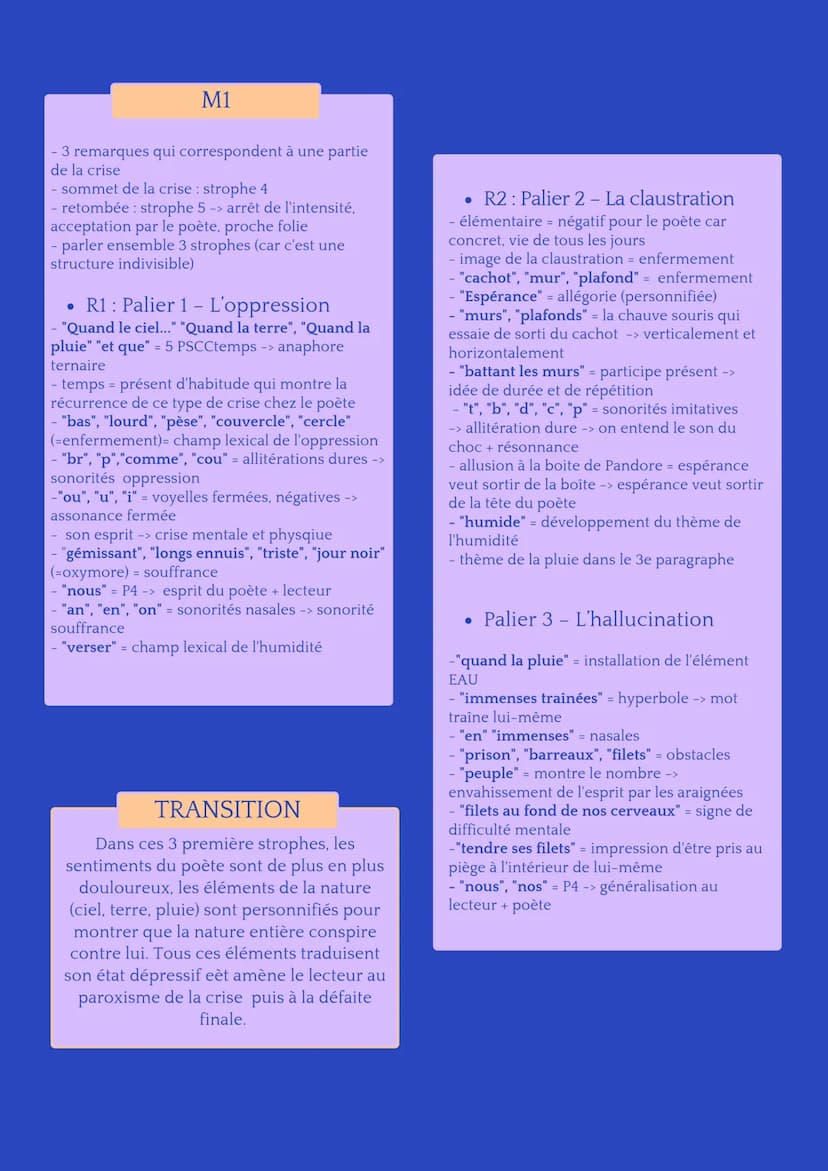 LES FLEURS DU MAL
CHARLES BAUDELAIRE
SPLEEN IV
INTRODUCTION
• AMORCE
La biographie est importante pour
comprendre l'oeuvre de Baudelaire,
ét