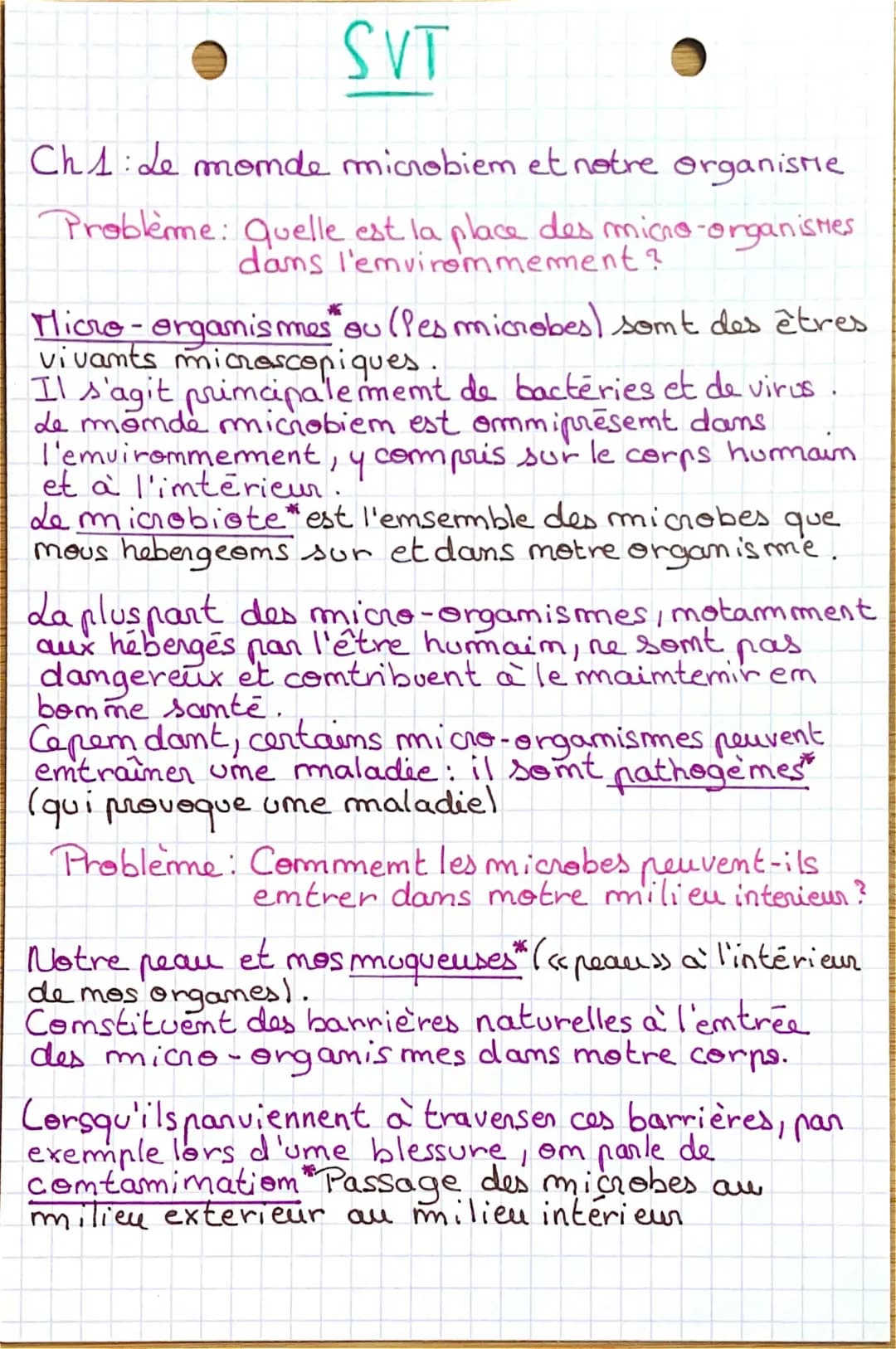 Les Micro-organismes dans Notre Corps: Où Ils Sont et Leur Rôle