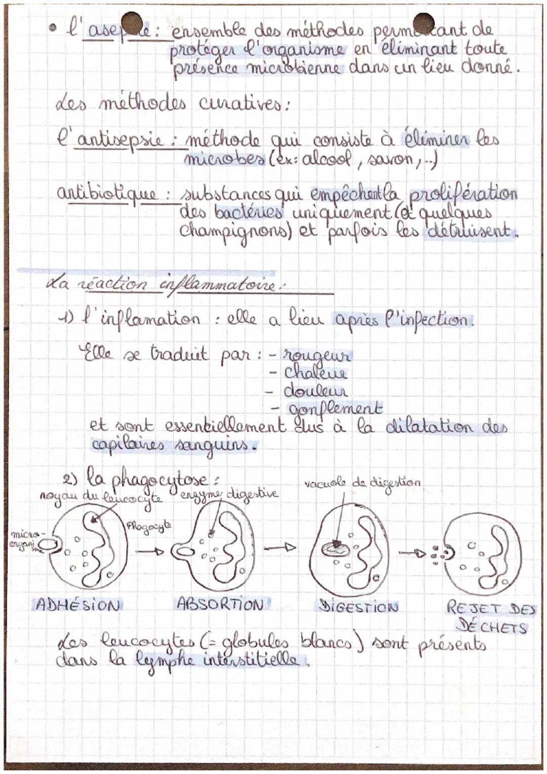 des microbes:

Il y a 4 types de microbes: - virus 1)

- spors + champignons
- bactéries 2)
- protozoides 3)

4) Ils sont de très petite tai