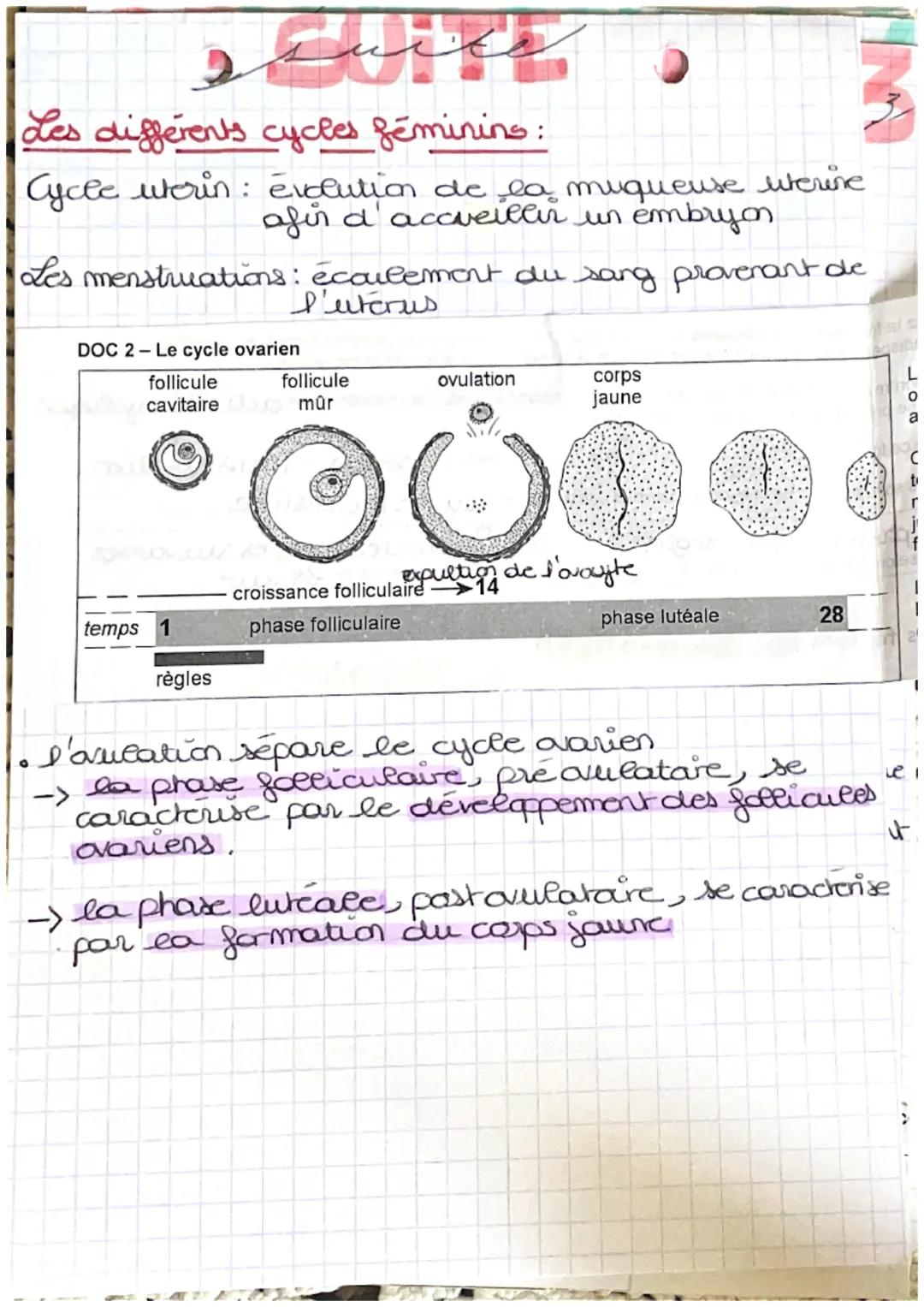 والأقواما من التربية
L'APPAREIL REPRODUCTEUR : 1
caracteres deseucls primaires : type d'appareil
genital présents à la naissance (determine 