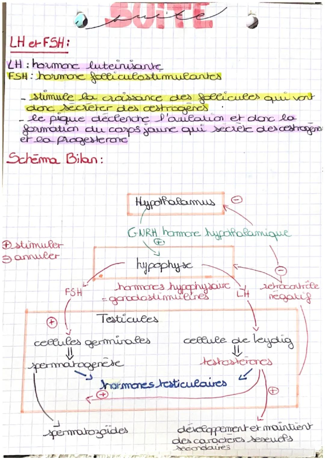 والأقواما من التربية
L'APPAREIL REPRODUCTEUR : 1
caracteres deseucls primaires : type d'appareil
genital présents à la naissance (determine 