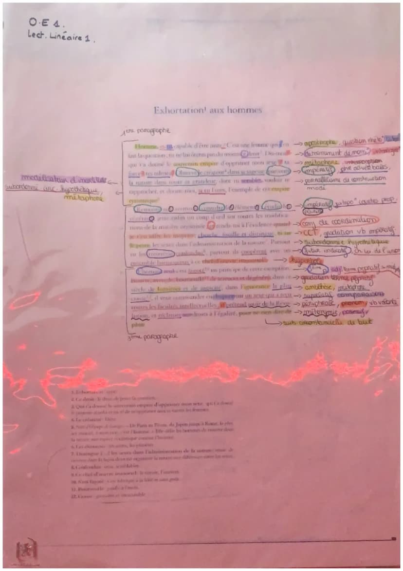 OE.1
Lock Rinduer 1. Français
Lect. lineaire
Lecture lineaire n°1 "Homme est-tu capable d'être juste."
THEME: ECRIRE ET COMBATTRE CONTRE LES