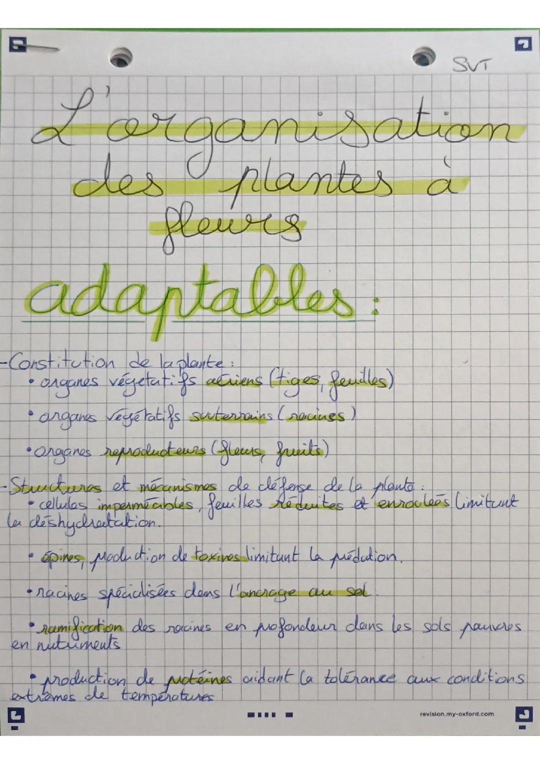 L'organisation des plantes à fleurs.