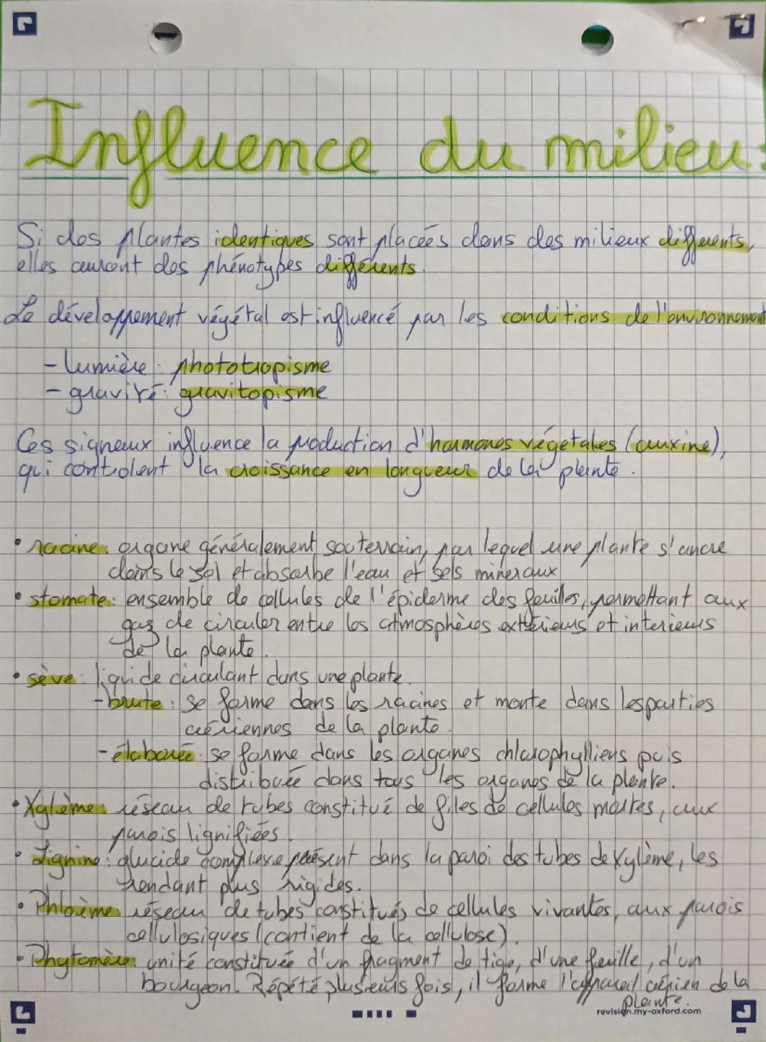 Lor
SVT
organisation
des plantes à
fleurs
adaptables
-Constitution de la plante:
.
• organes végetatifs acriens (tiges, feuilles)
•arganes v