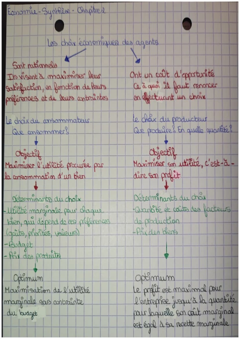 Chapitre 2
Les décisions du consommateur et du producteur
~ Problématique des choix ~
-les agents économiques concernés par la problématique