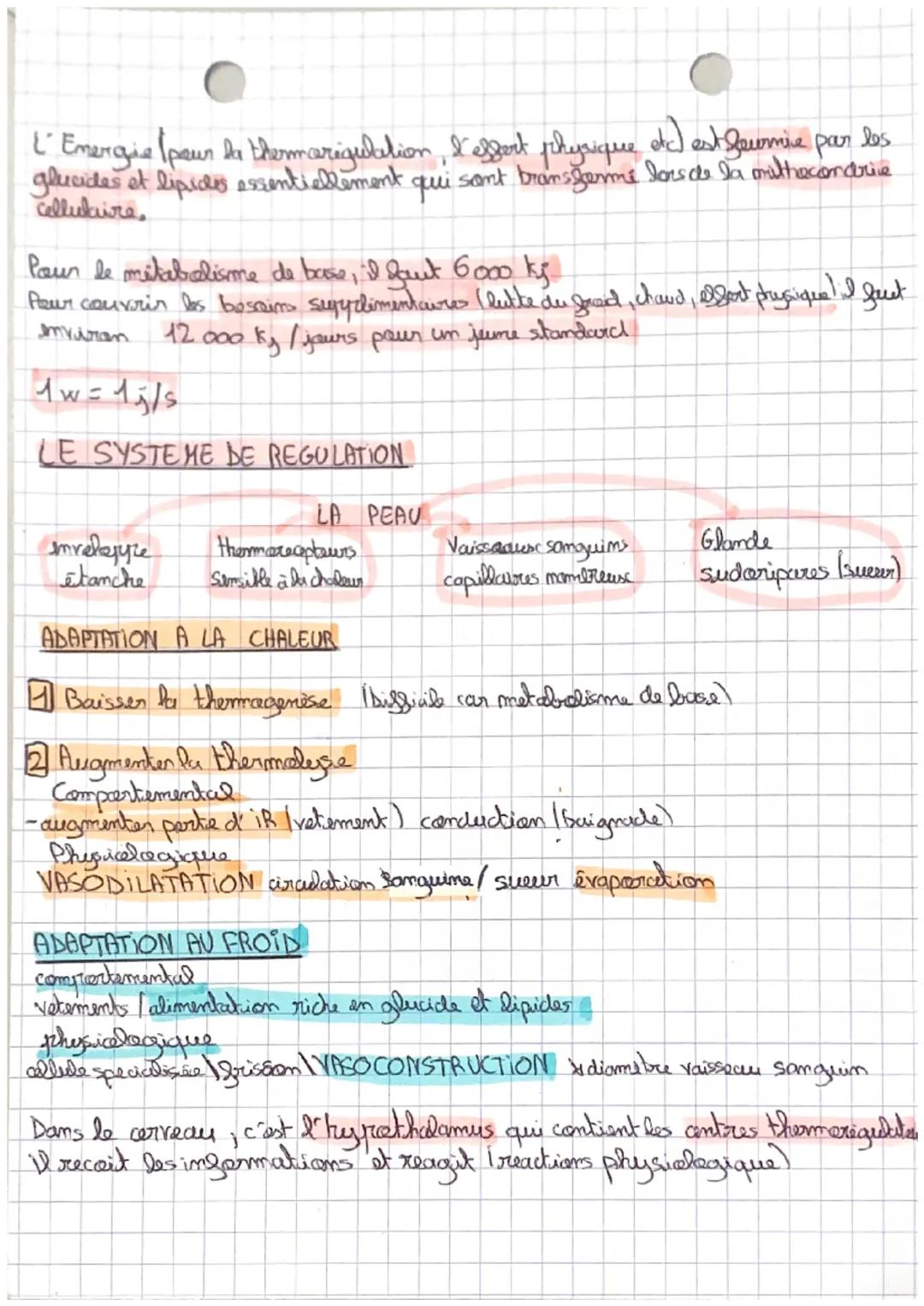 # BILAN THERMIQUE DU CORPS HUMAIN

## OÙ LE CORPS PERD DE LA CHALEUR?

- Secteur sans vetement
- secteur vorigué par le systime sanguin Core