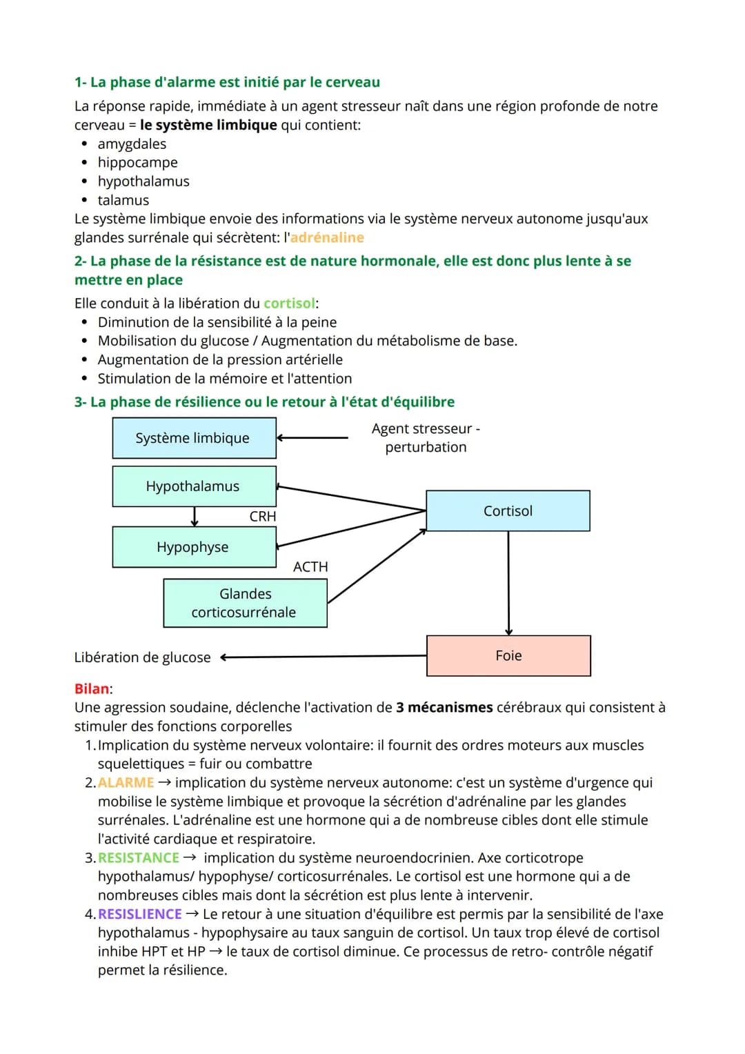 Chapitre 3: Comportement et Stress
I-Des perturbations de notre environnement peuvent introduire un état
de stress
Agents stresseurs = modif