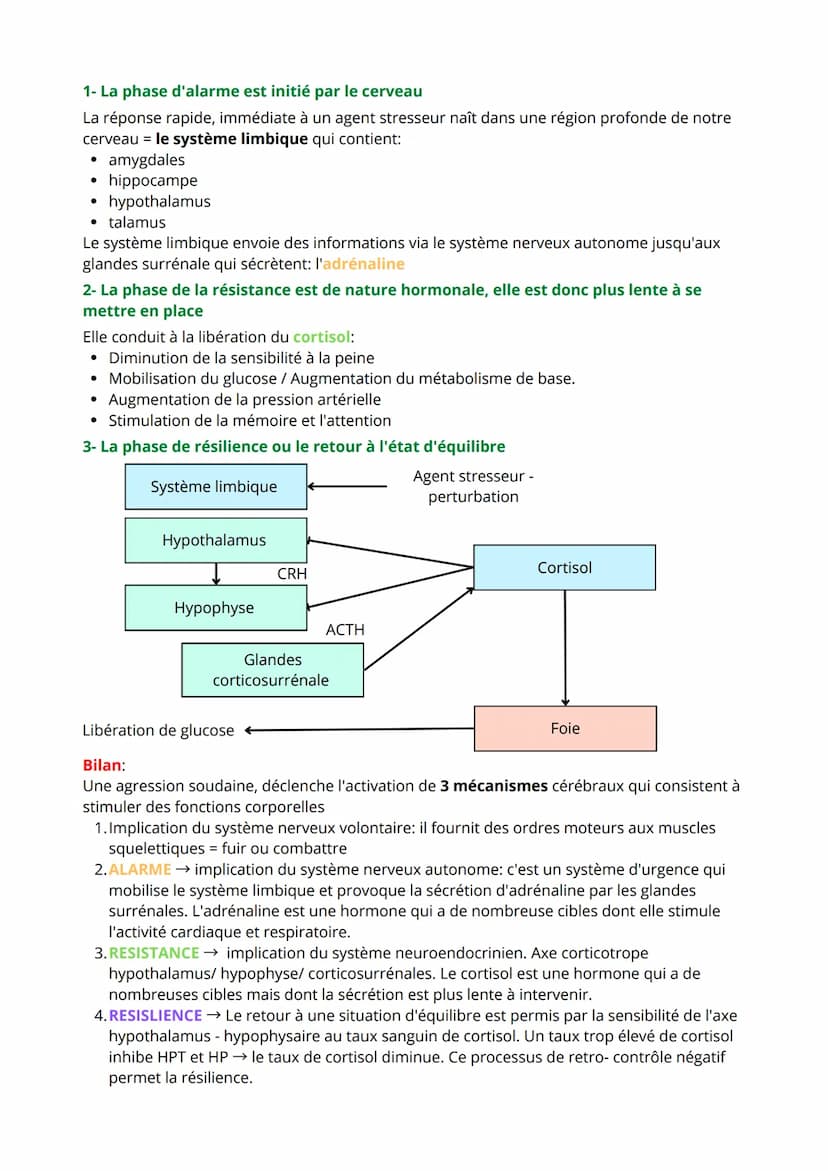 Chapitre 3: Comportement et Stress
I-Des perturbations de notre environnement peuvent introduire un état
de stress
Agents stresseurs = modif