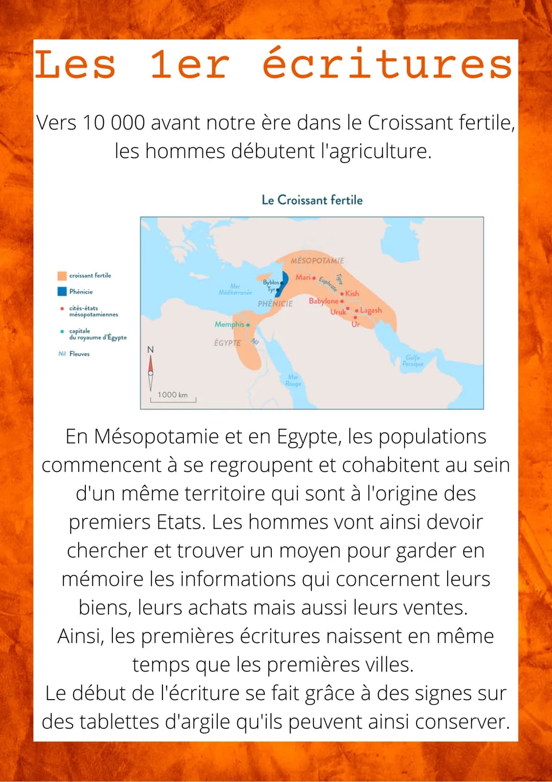 Les 1er écritures
Vers 10 000 avant notre ère dans le Croissant fertile,
les hommes débutent l'agriculture.
croissant fertile
Phénicie
cités