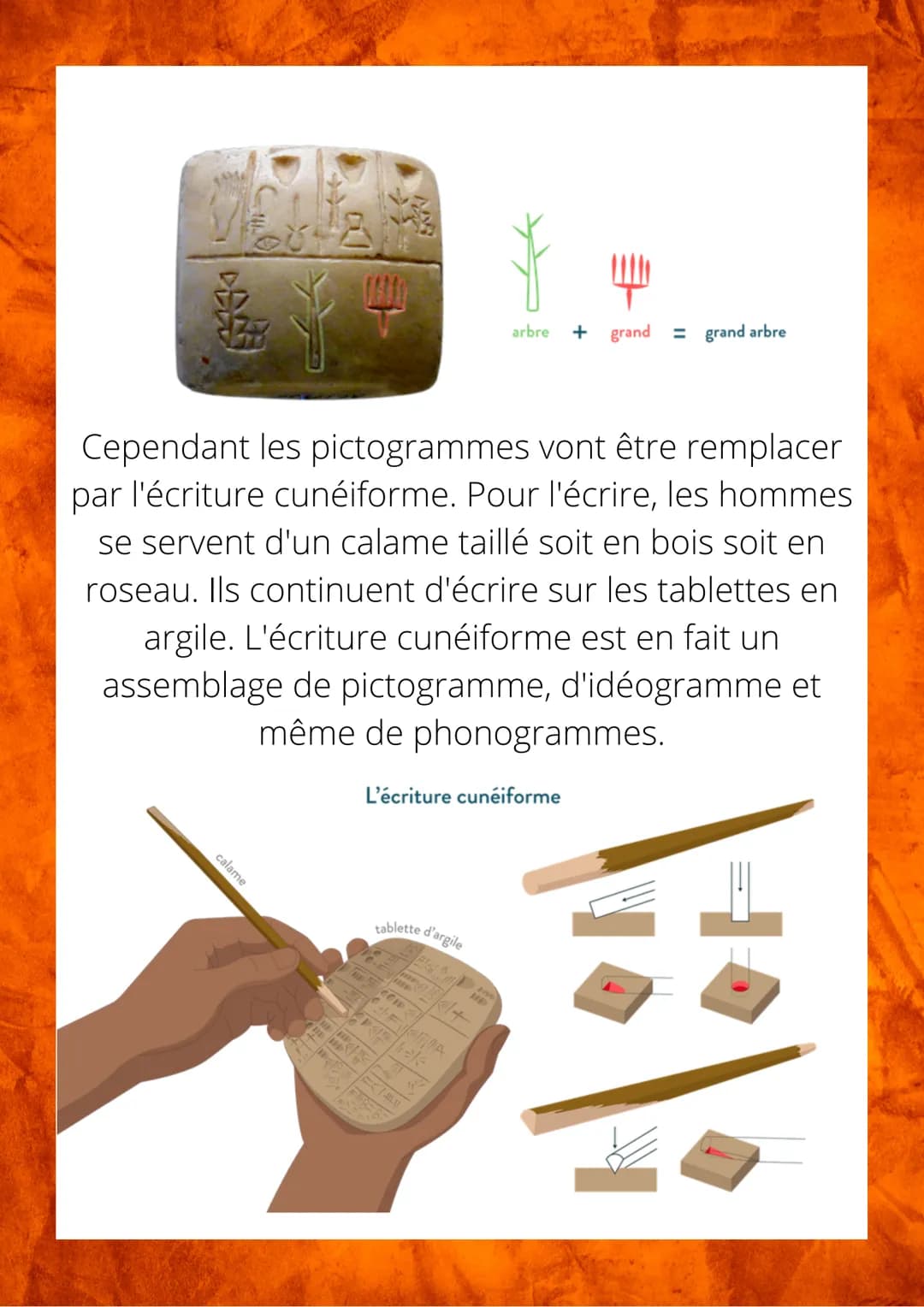 Les 1er écritures
Vers 10 000 avant notre ère dans le Croissant fertile,
les hommes débutent l'agriculture.
croissant fertile
Phénicie
cités