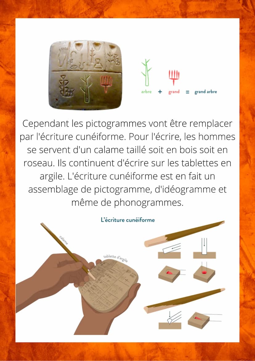 Les 1er écritures
Vers 10 000 avant notre ère dans le Croissant fertile,
les hommes débutent l'agriculture.
croissant fertile
Phénicie
cités