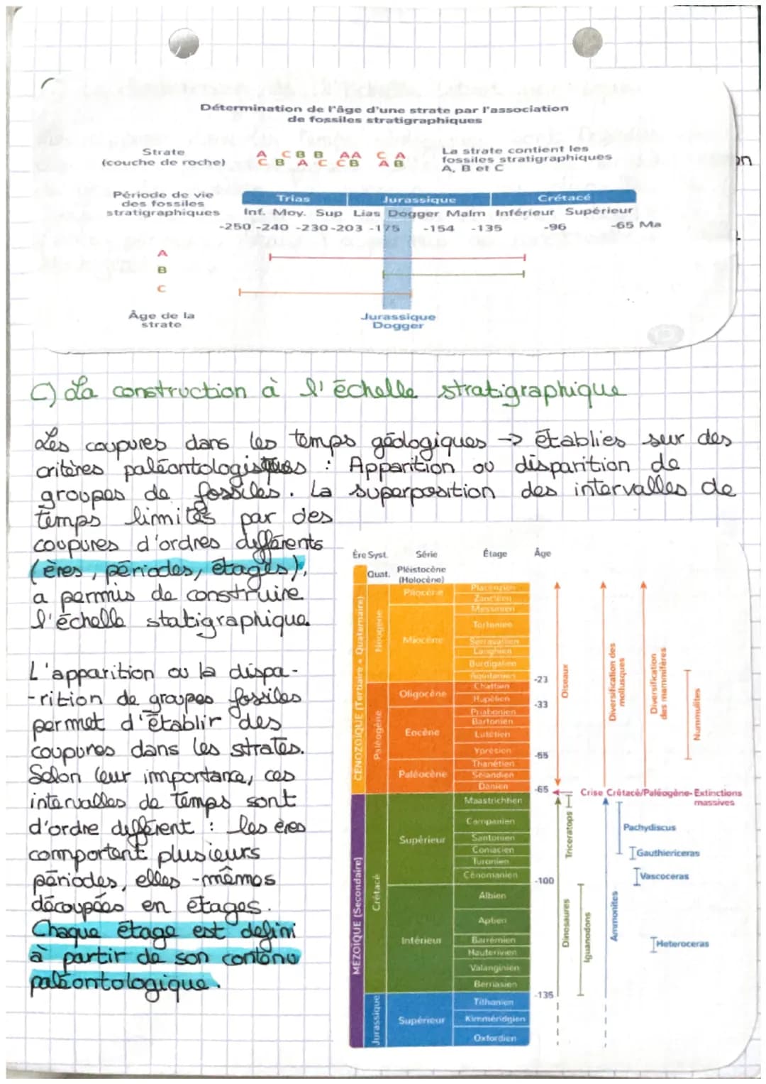 SUT
Le temps et les roches
-> Comment l'étude des roches permet - elle aux
goologues d'établir une chronologie reconstituant
la
ee
ee
La dat