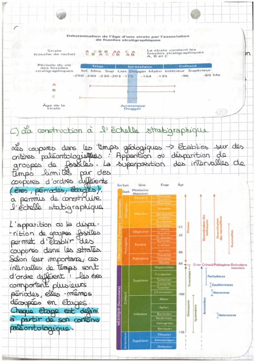 SUT
Le temps et les roches
-> Comment l'étude des roches permet - elle aux
goologues d'établir une chronologie reconstituant
la
ee
ee
La dat