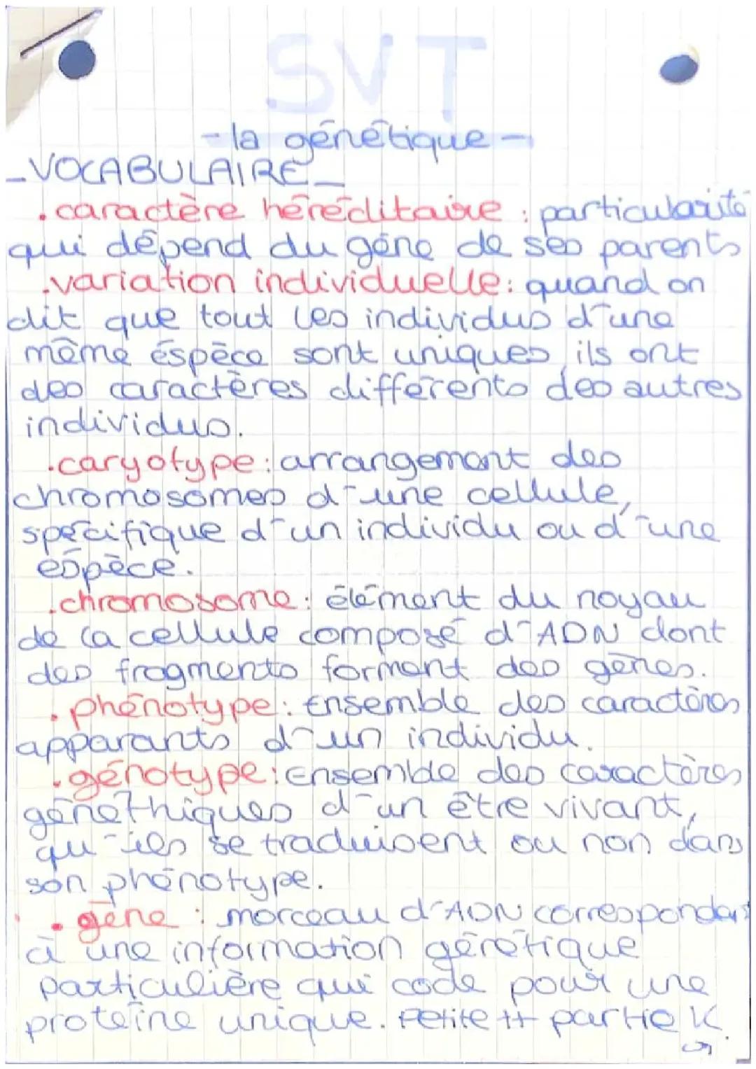 SVT - Comprendre la Génétique Facilement