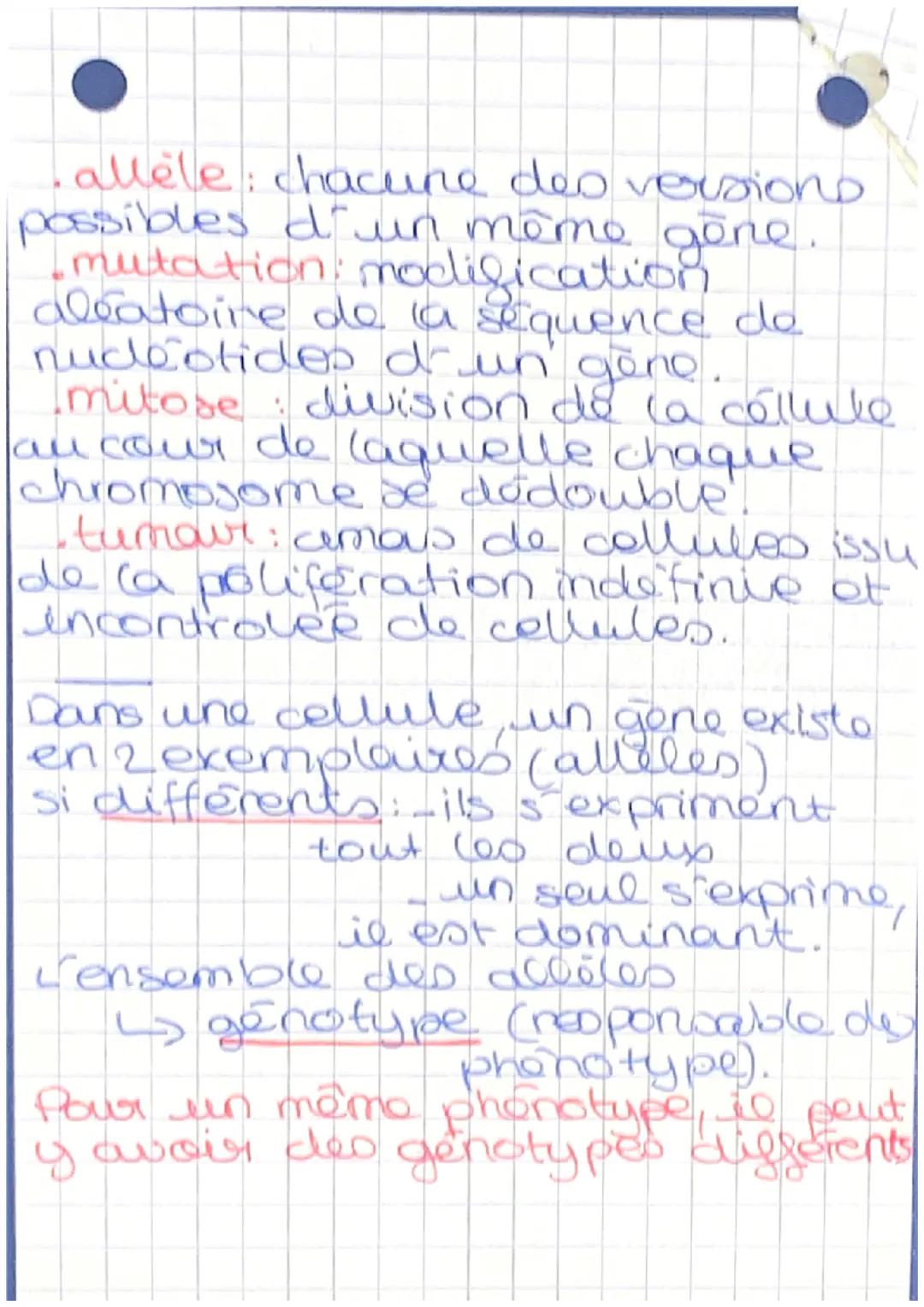 SVT
- la génétique -
_VOCABULAIRE.
caractère héréditaire particularite
qui dépend du gène de ses parents
variation individuelle: quand on
di