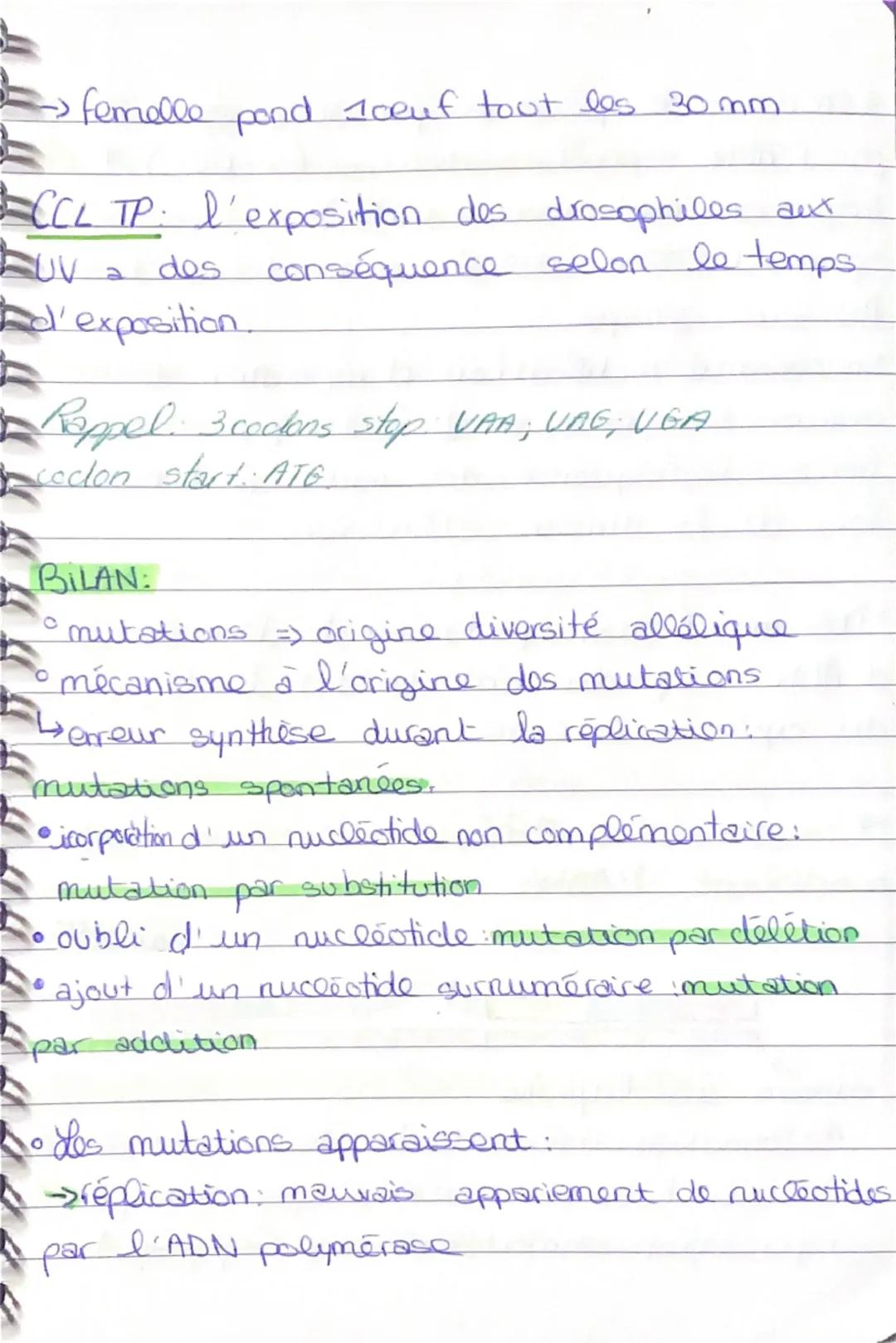SVT

Chapitre 5: Mutation de l'ADN et variabilite
génétique

La réplication semi-conservative assure une
reproduction conforme du programme 