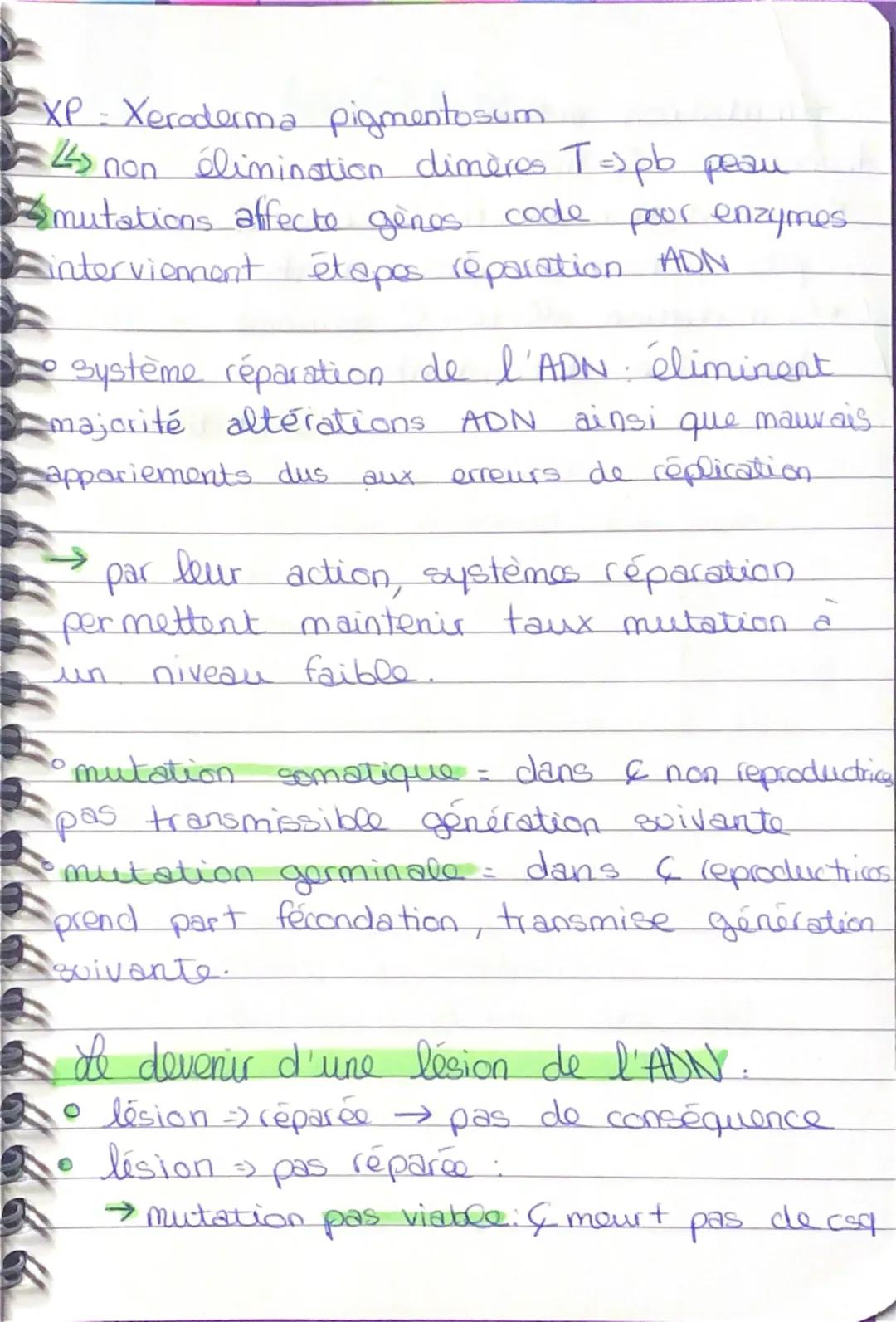 SVT

Chapitre 5: Mutation de l'ADN et variabilite
génétique

La réplication semi-conservative assure une
reproduction conforme du programme 