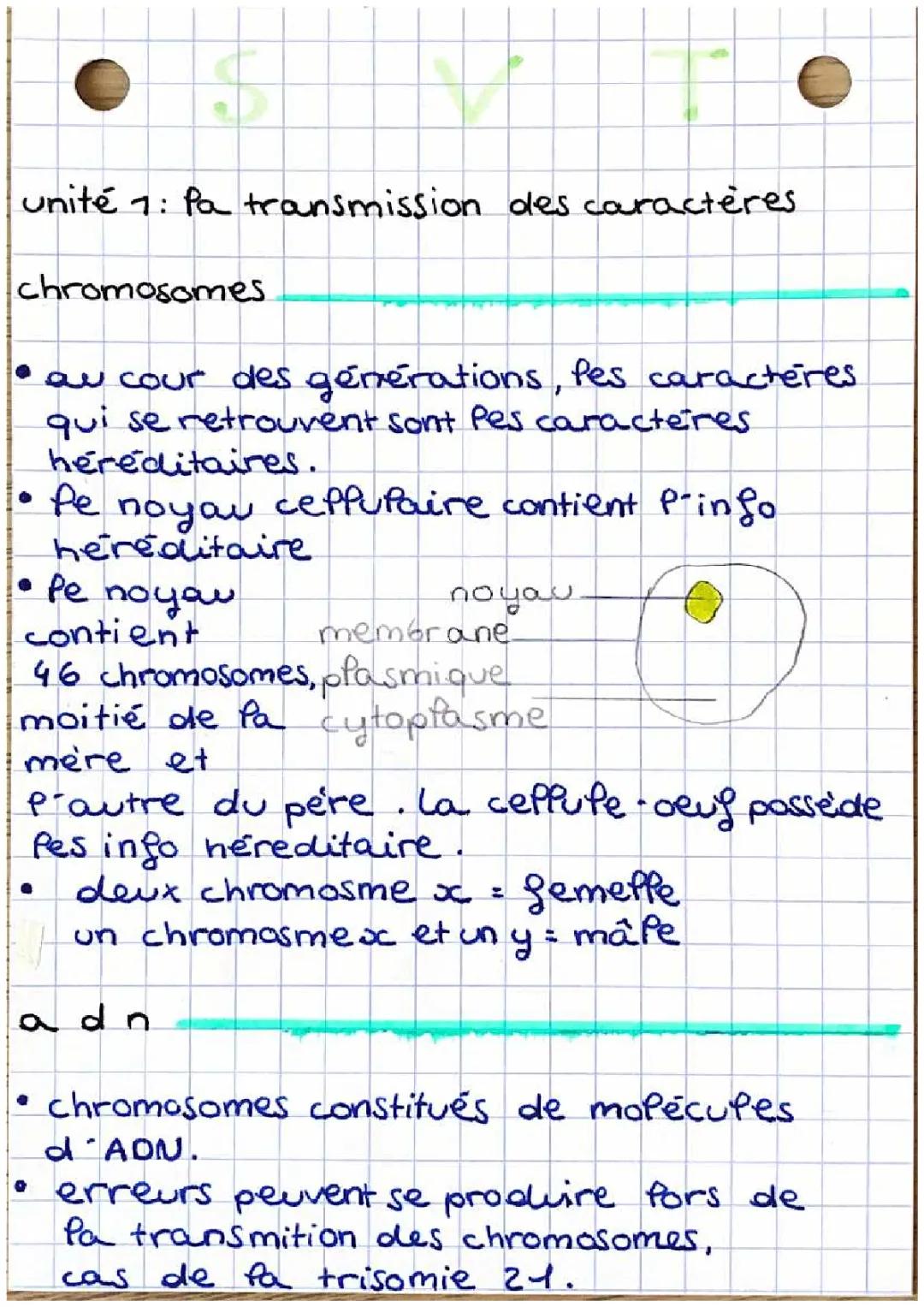 Unité 1 SVT : la transmission des caractères 