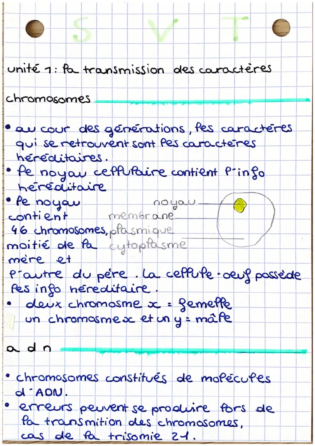 unité 7: Pa transmission des caractères
chromosomes.
• au cour des générations, les caractères.
qui se retrouvent sont Pes caracteres
heredi