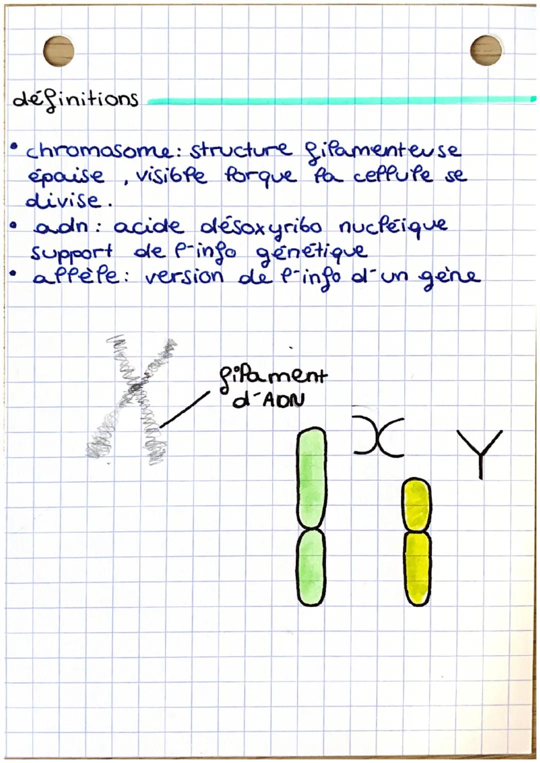 unité 7: Pa transmission des caractères
chromosomes.
• au cour des générations, les caractères.
qui se retrouvent sont Pes caracteres
heredi